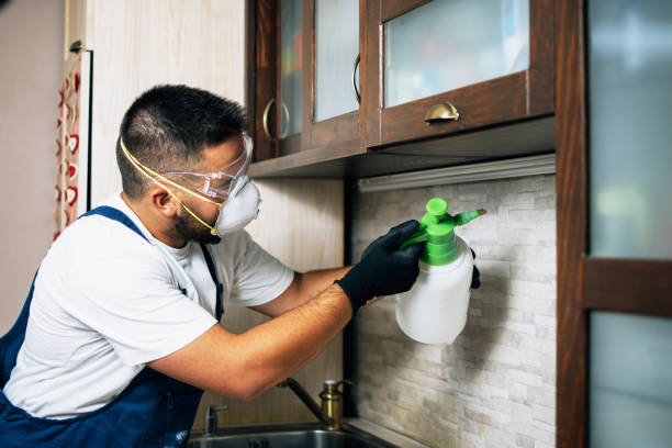Best Affordable Pest Control Services  in China Lake Acres, CA