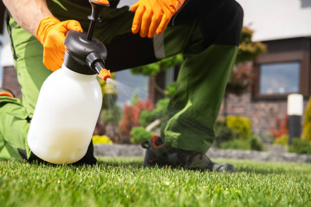 Best Commercial Pest Control Services  in China Lake Acres, CA