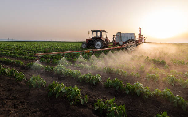 China Lake Acres, CA Pest Control Company