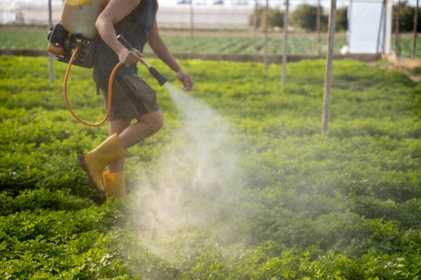 Best Wildlife Control Services  in China Lake Acres, CA