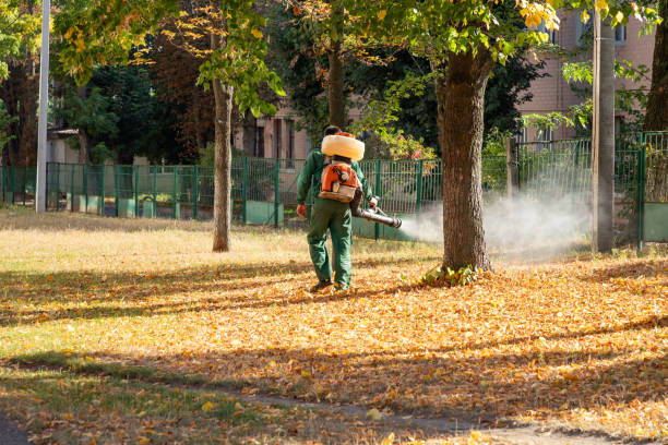 Best Pest Removal Services  in China Lake Acres, CA