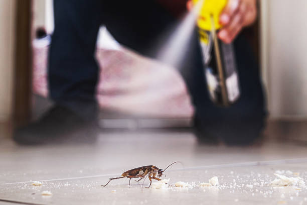  China Lake Acres, CA Pest Control Pros