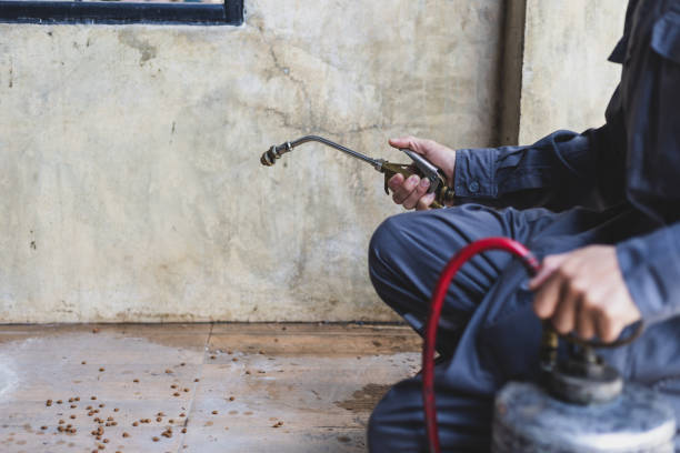 Best Pest Control Near Me in China Lake Acres, CA