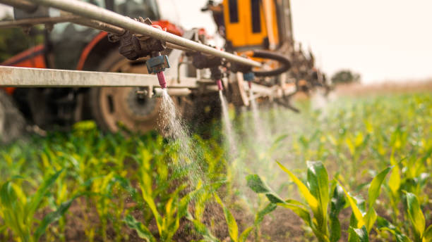 Best Ant Control Services  in China Lake Acres, CA