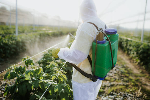 Pest Control Cost in China Lake Acres, CA